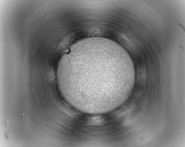 X0000093390173200710251249