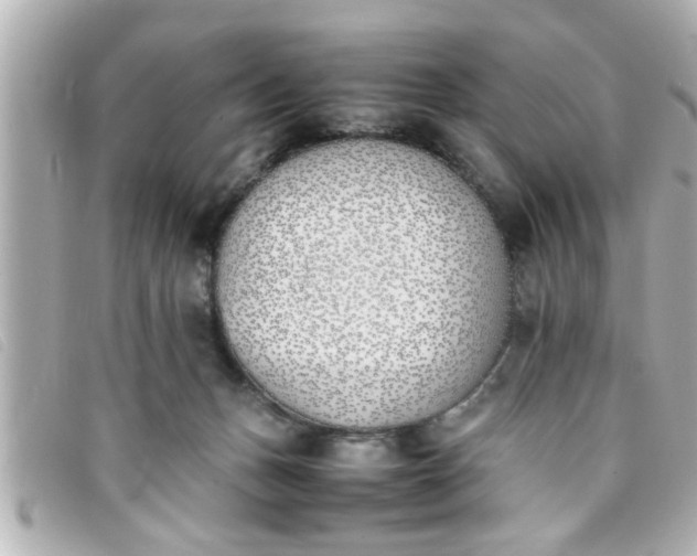 X0000093390175200710251249