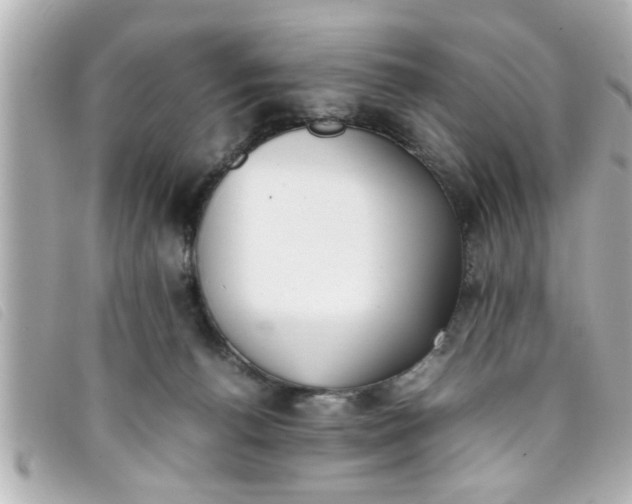 X0000093390176200710251249