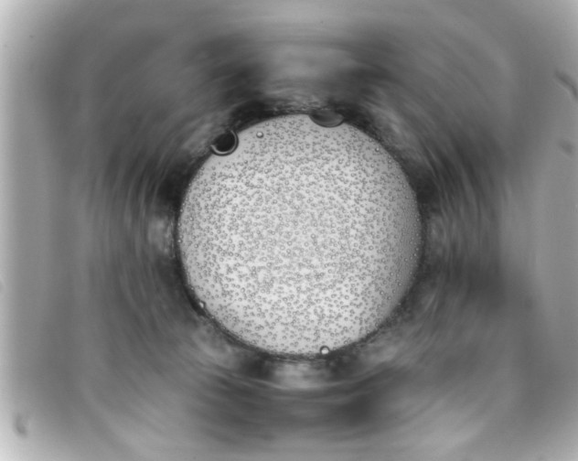 X0000093390177200710251249