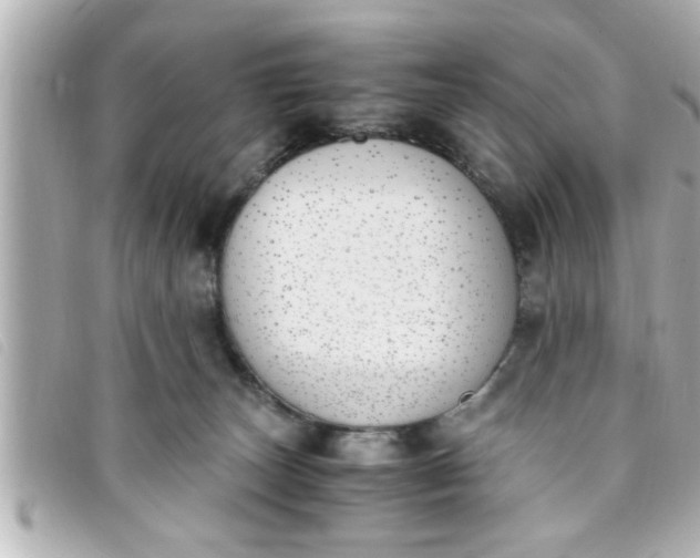 X0000093390179200710251249