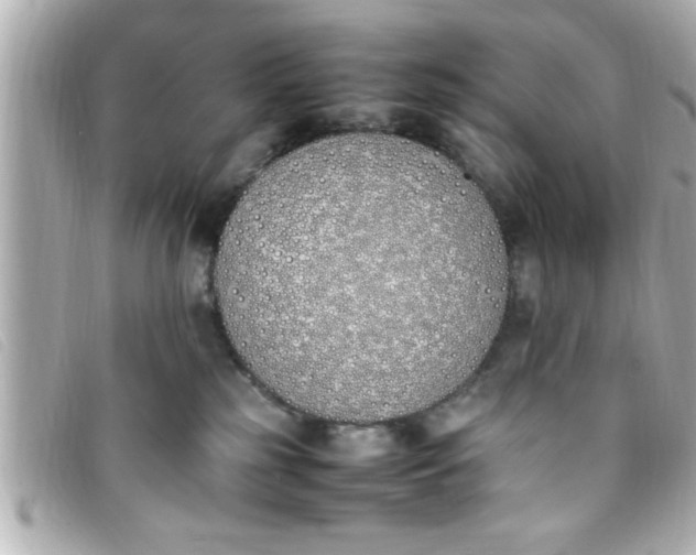 X0000093390185200710251249