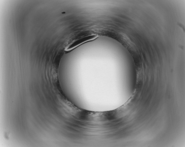 X0000093390186200710251249