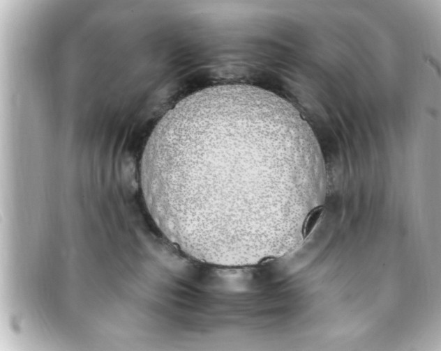 X0000093390187200710251249