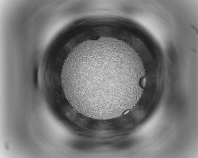 X0000093390189200710251249