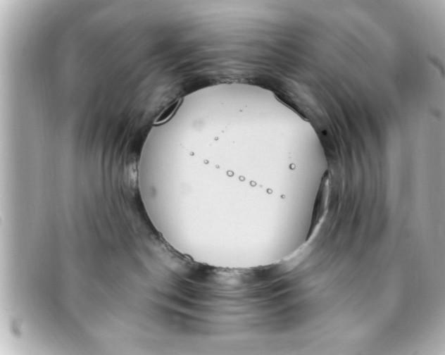 X0000093390190200710251249