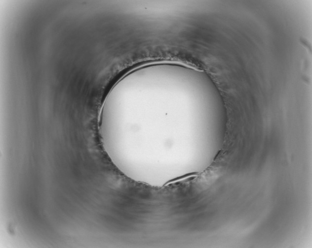 X0000093390192200710251249