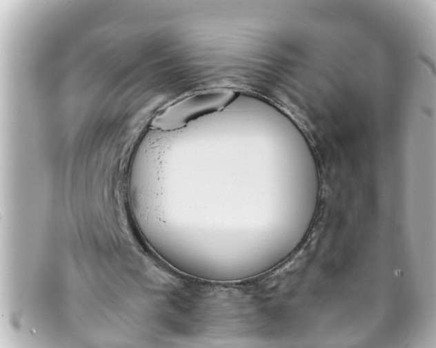 X0000093390193200710251249