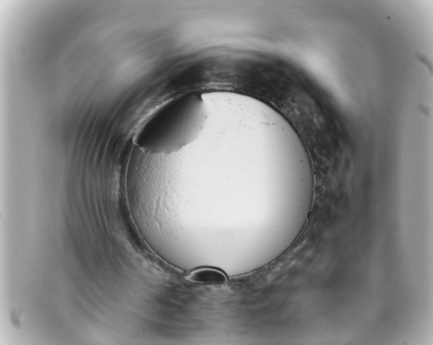 X0000093390194200710251249