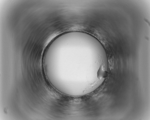 X0000093390196200710251248