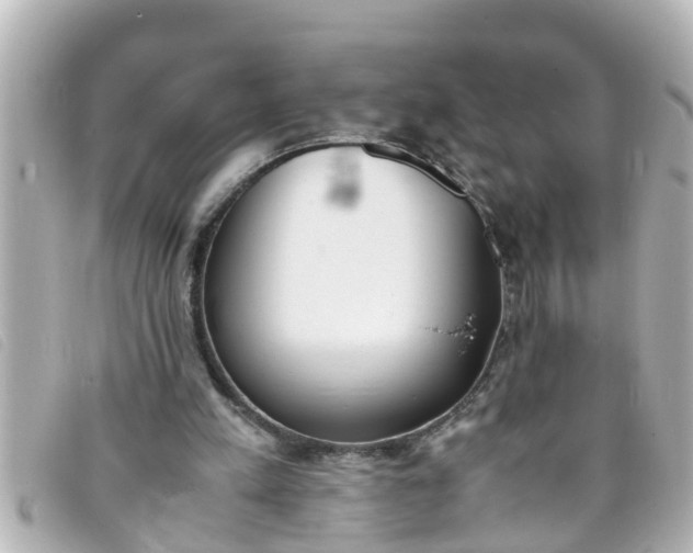 X0000093390197200710251248