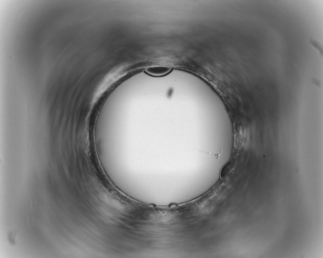 X0000093390198200710251248