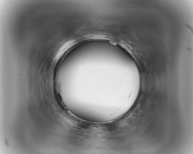 X0000093390199200710251248