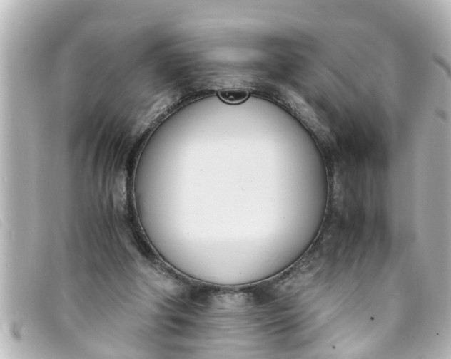 X0000093390202200710251248