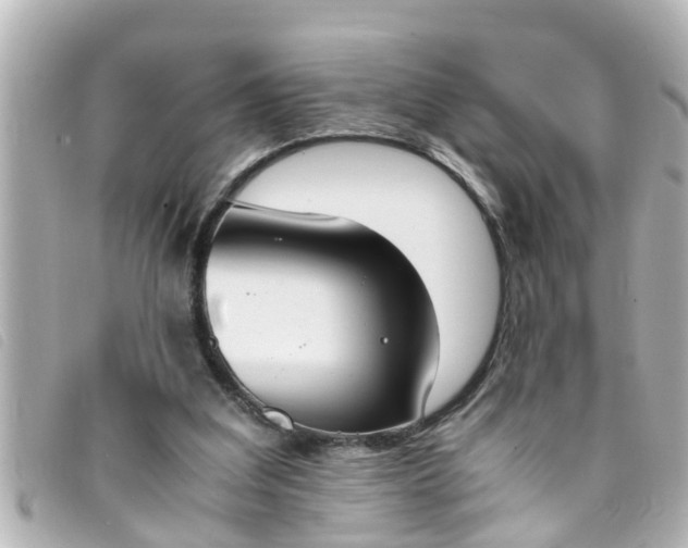 X0000093390203200710251248