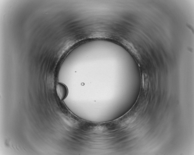 X0000093390204200710251248