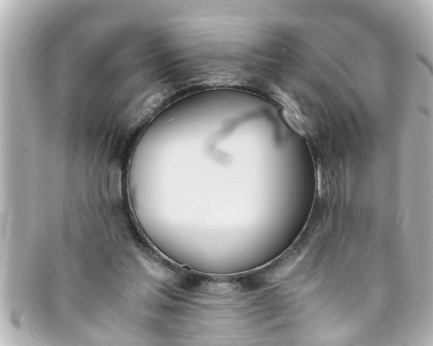 X0000093390205200710251248