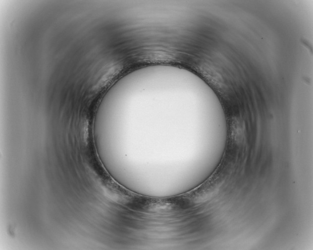 X0000093390206200710251248