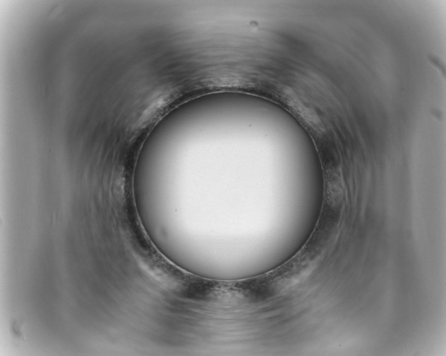 X0000093390207200710251248