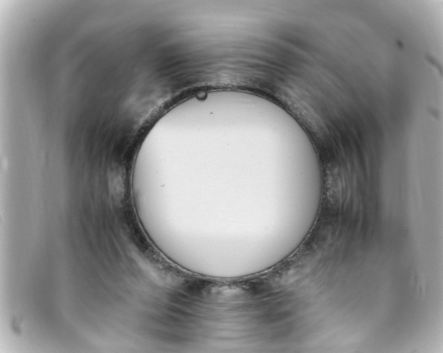 X0000093390208200710251248