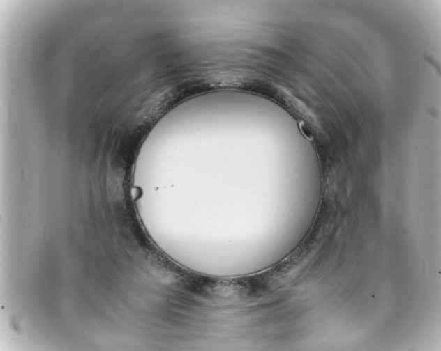 X0000093390209200710251248