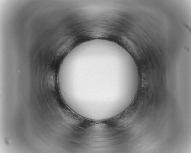 X0000093390210200710251248