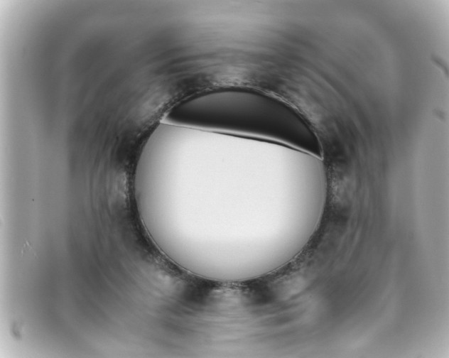 X0000093390211200710251248