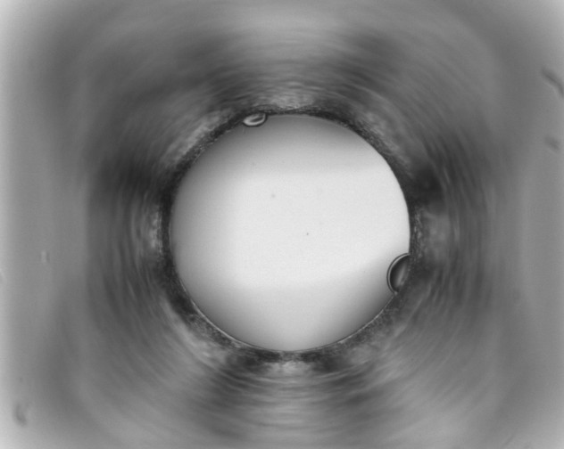 X0000093390212200710251248