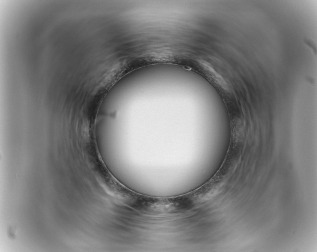 X0000093390213200710251248