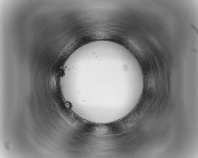 X0000093390214200710251248