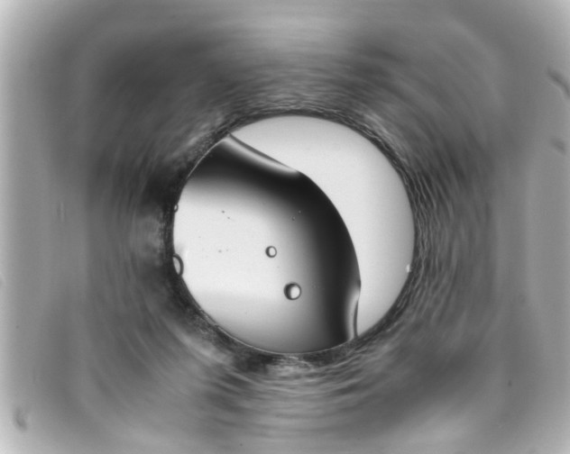 X0000093390215200710251248