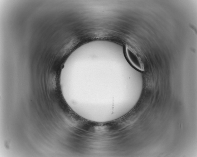 X0000093390216200710251248