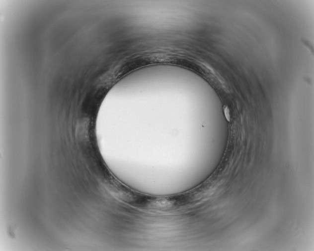 X0000093390217200710251248