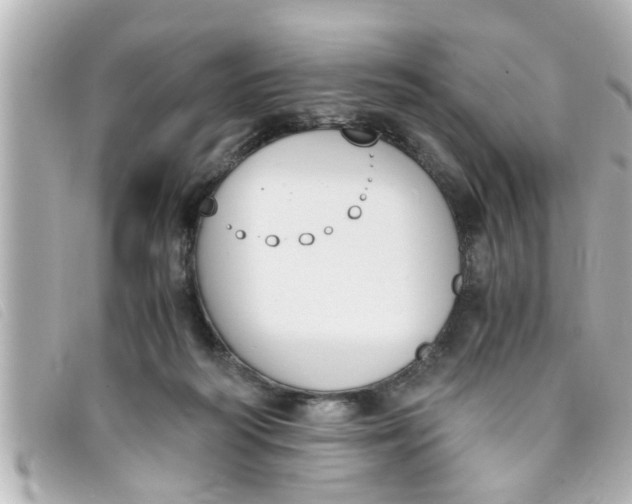 X0000093390218200710251248