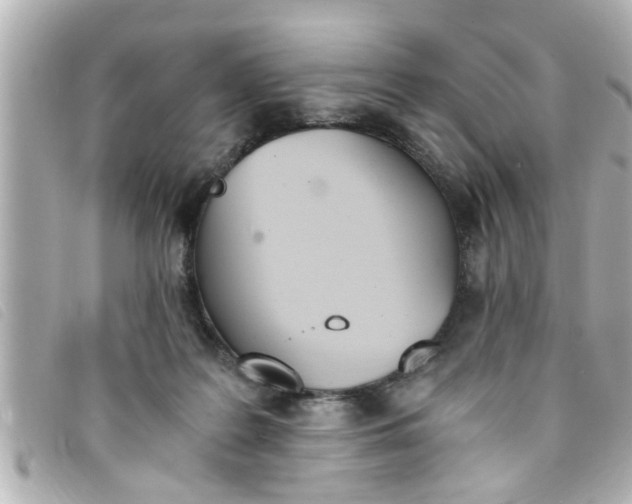 X0000093390219200710251248