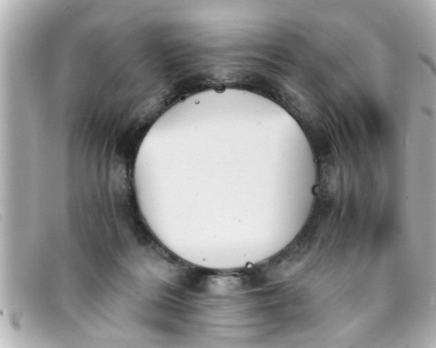 X0000093390220200710251248