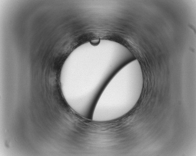 X0000093390221200710251248