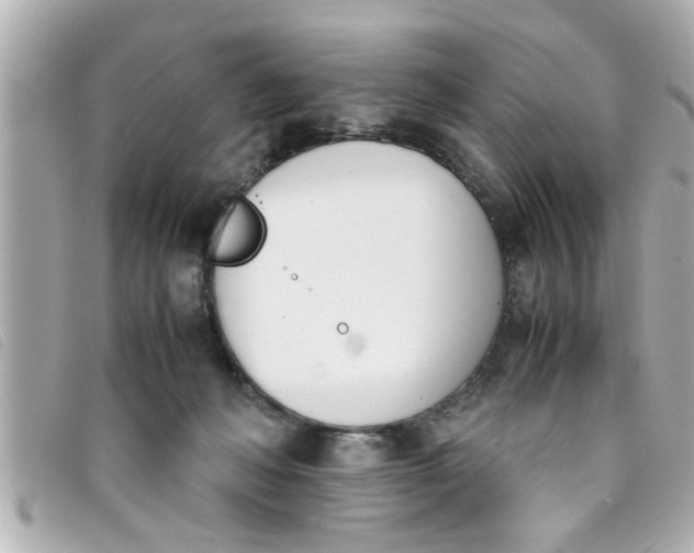 X0000093390222200710251248