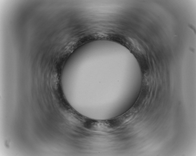 X0000093390223200710251248