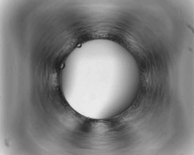 X0000093390224200710251248