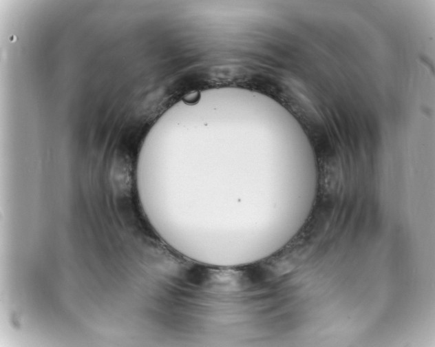 X0000093390226200710251248