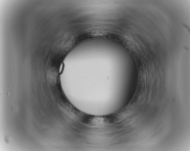 X0000093390227200710251248