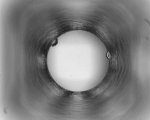 X0000093390228200710251248