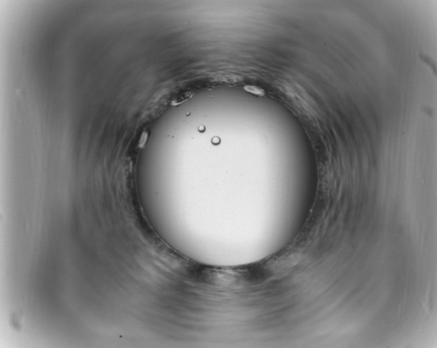 X0000093390229200710251248