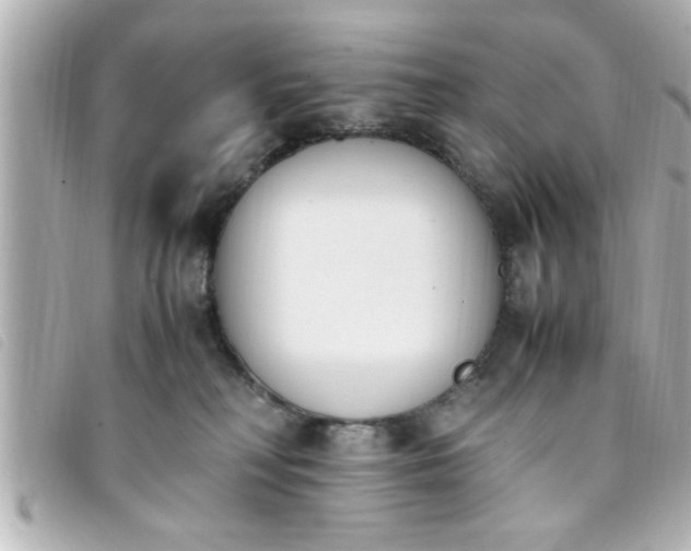 X0000093390230200710251248