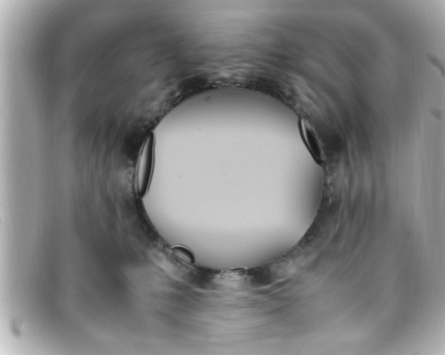 X0000093390231200710251248