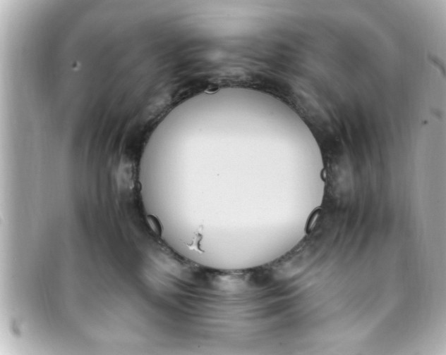 X0000093390232200710251248