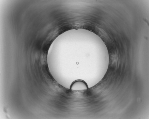 X0000093390236200710251248