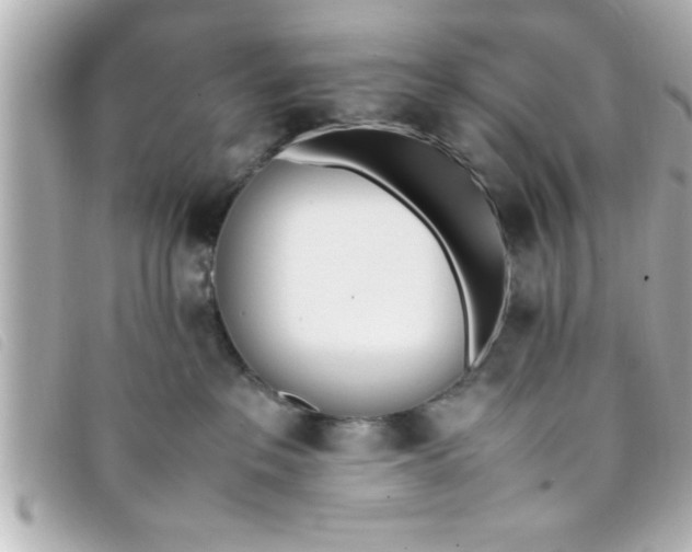 X0000093390237200710251248