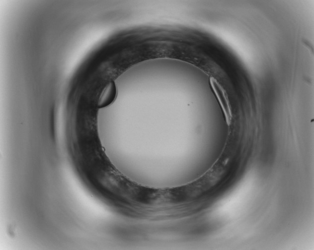 X0000093390239200710251248